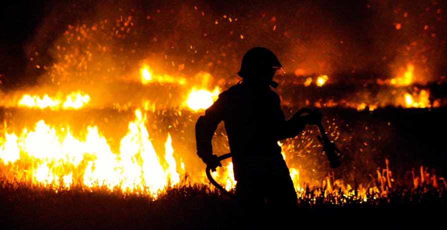 pompier tentant d'éteindre un feu de forêt