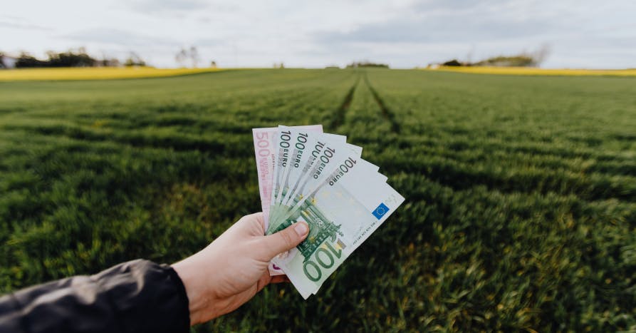 person holding euros in field