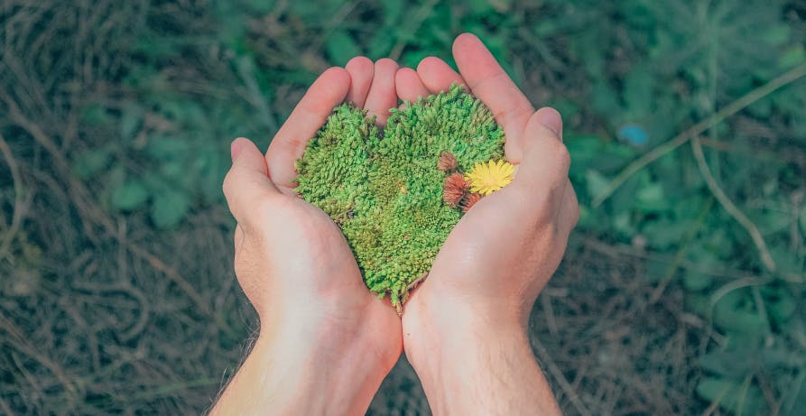 person holding green moss in their hands
