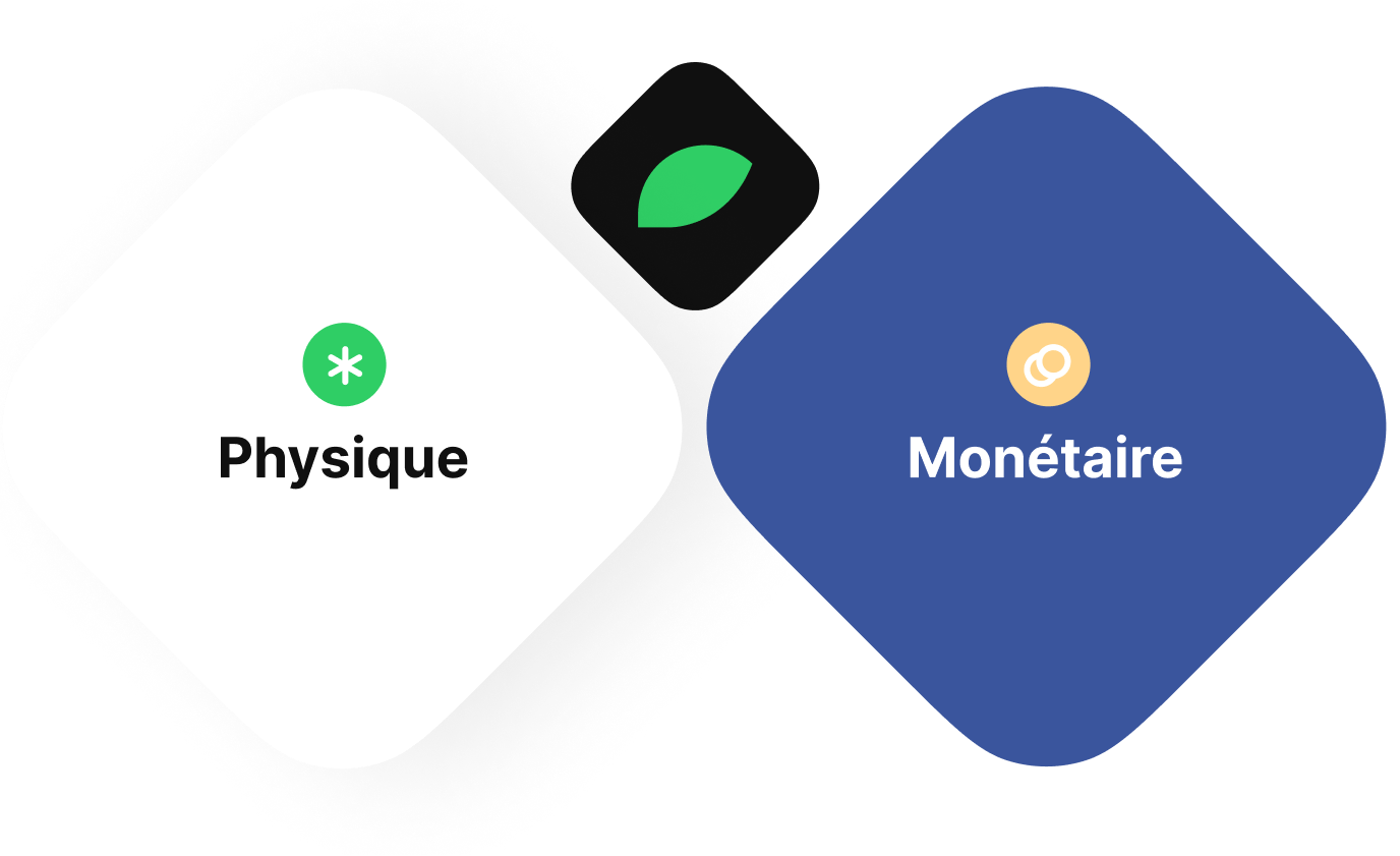 Illustration avec graphiques