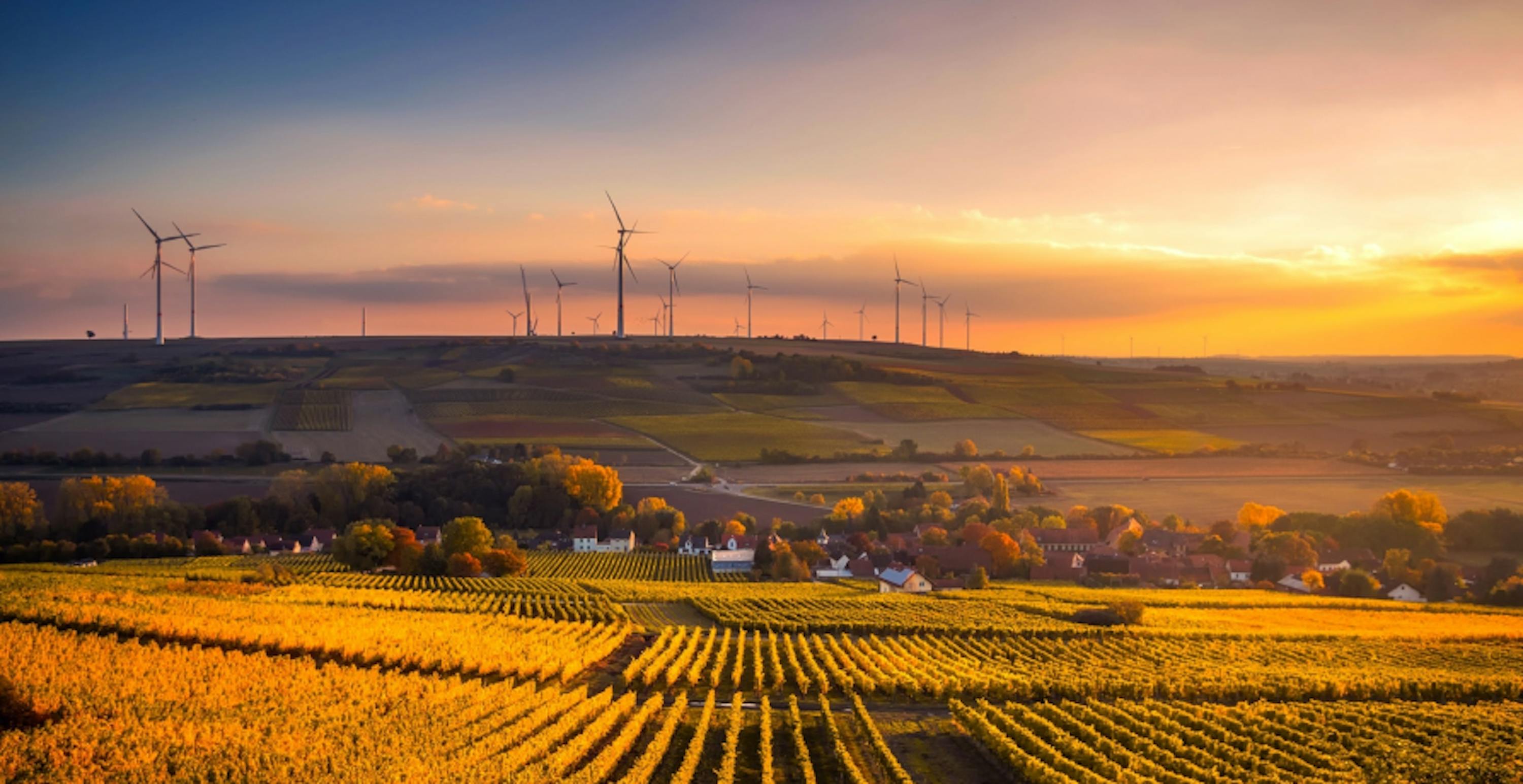 fields and countryside at sunset