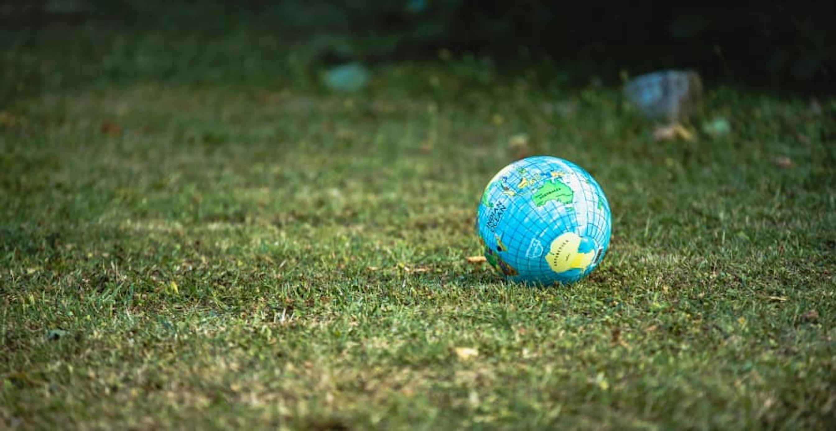 earth on grass