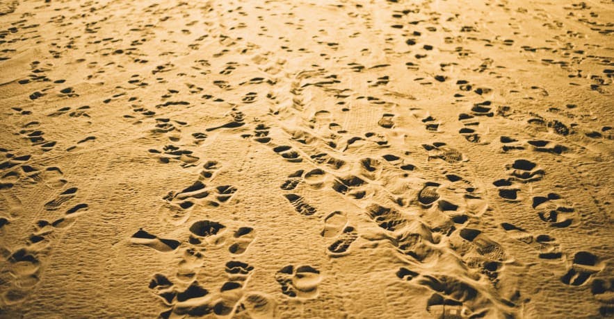 footprints