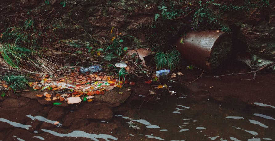 polluted riverbank with lots of plastic