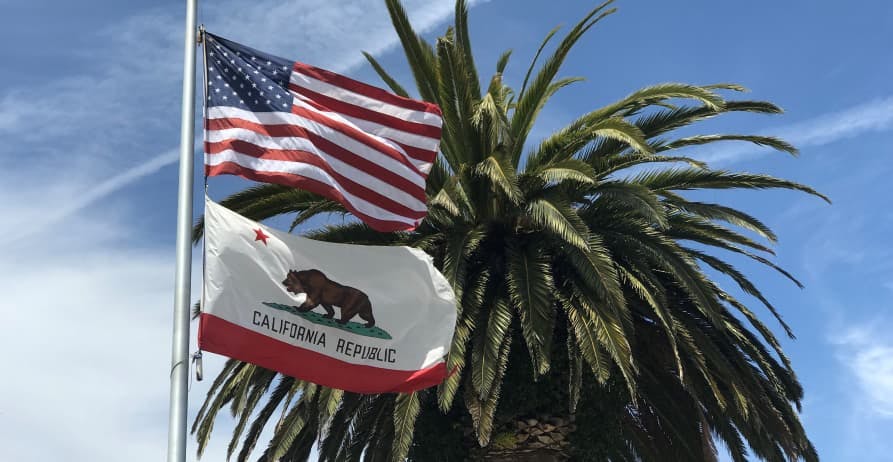 american and california flag blue sky and palm tree