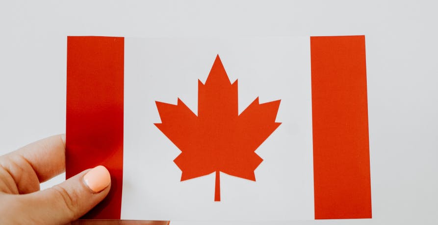 person holding a canadian flag
