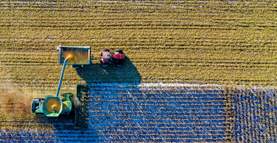 vehicles harvesting a crop field