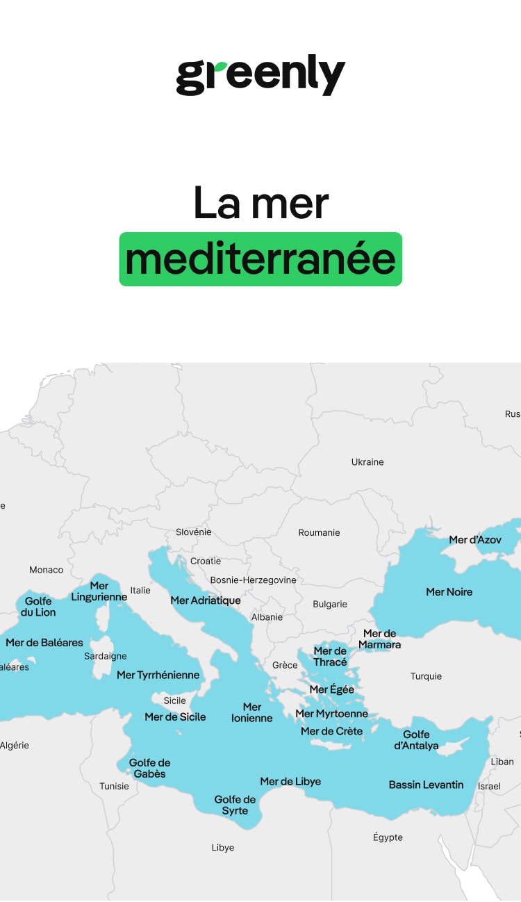 carte représentant les différentes zones de la mer méditerranée