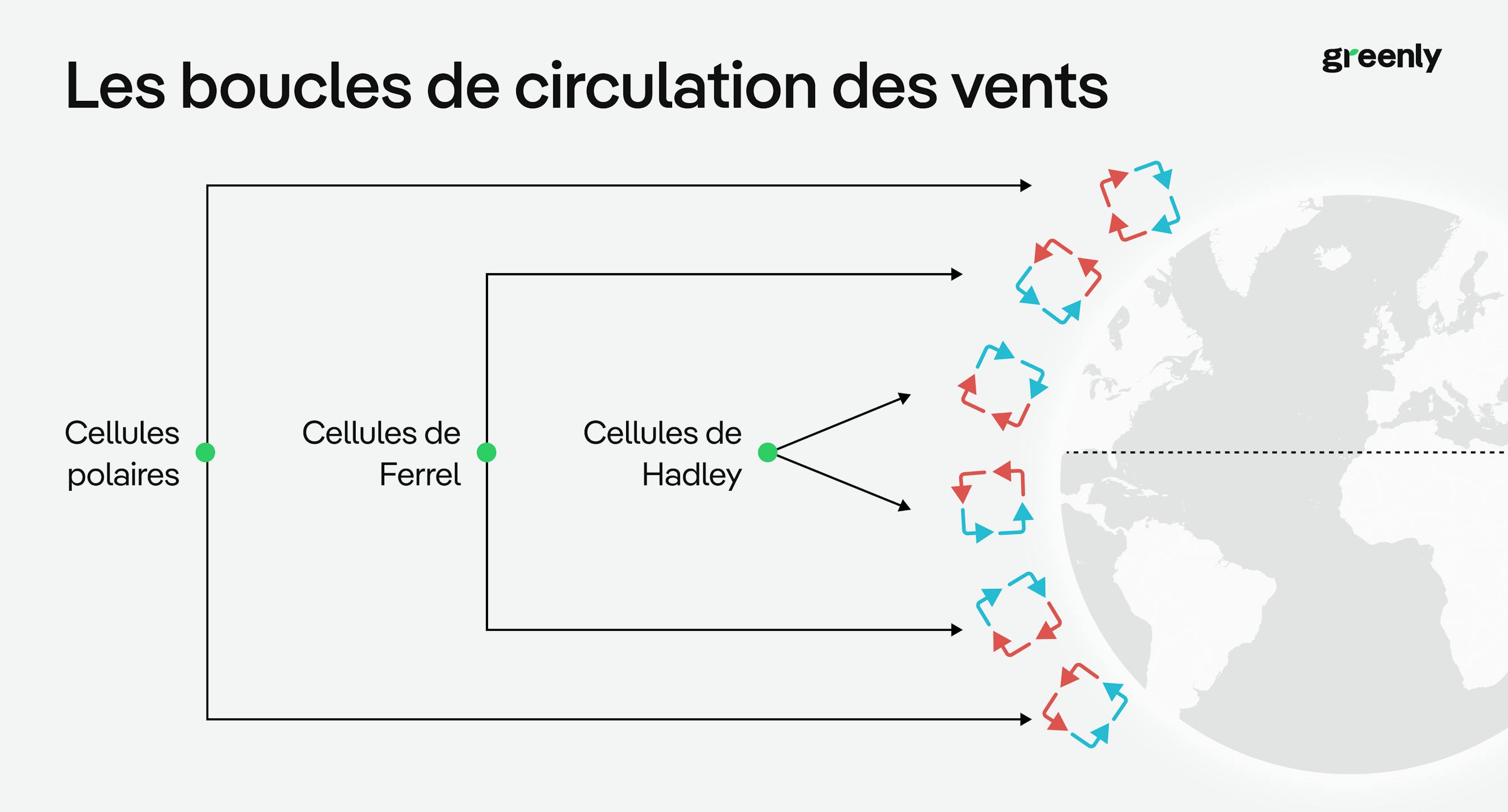 infographie décrivant les boucles de circulation des vents