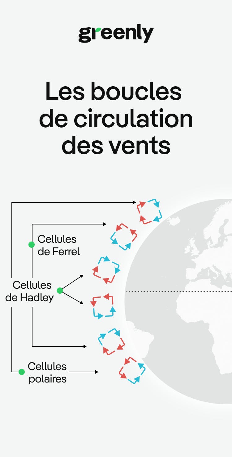 infographie décrivant les boucles de circulation des vents