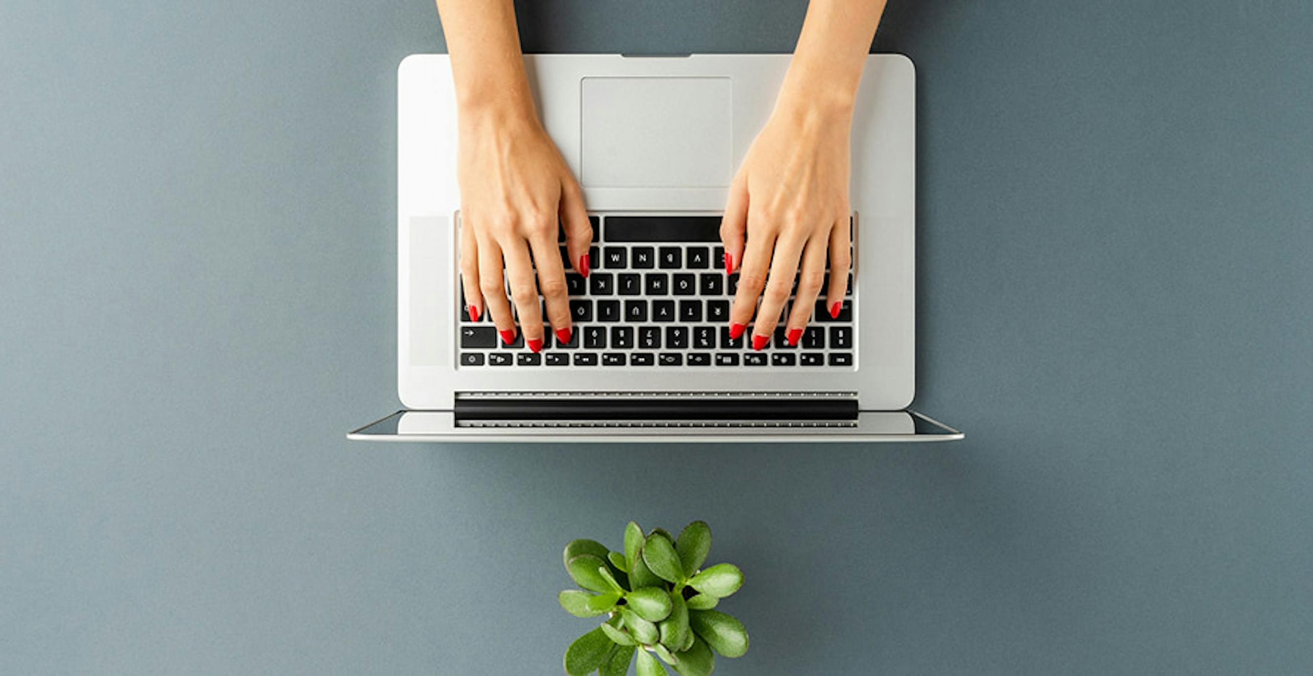un ordinateur et une plante