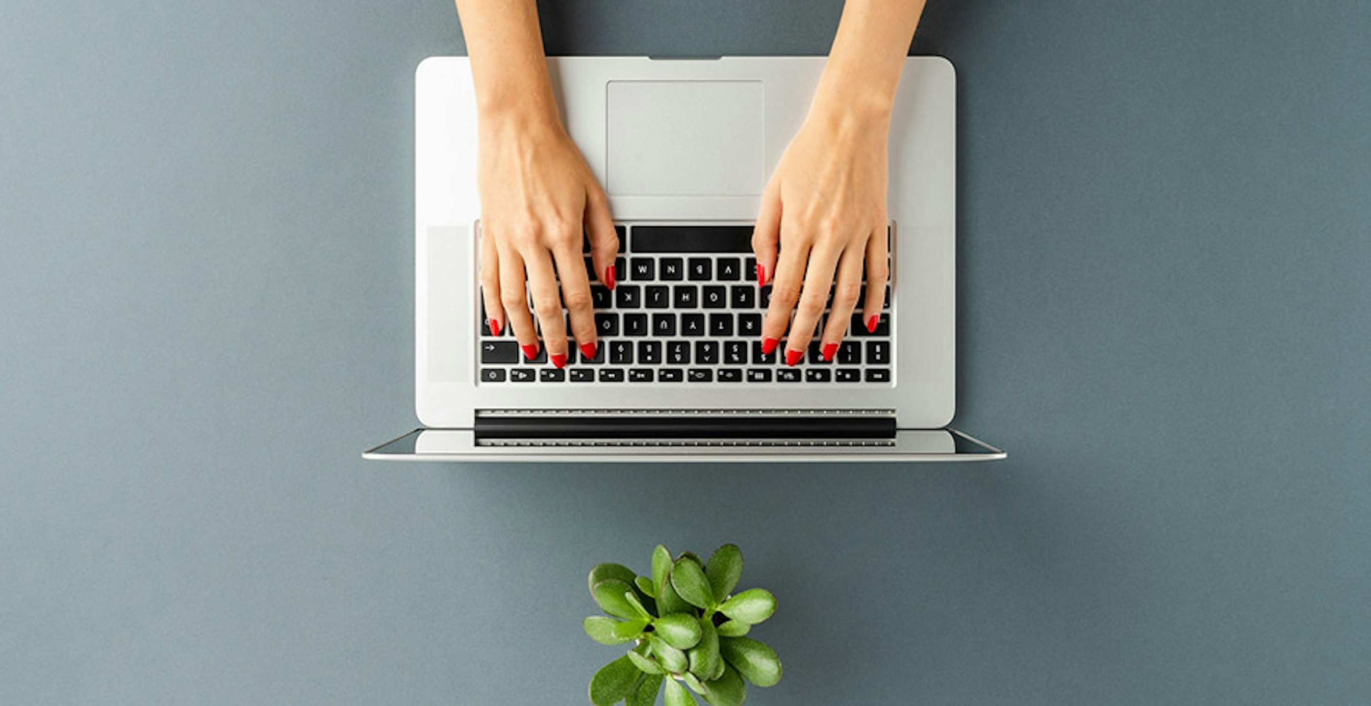 un ordinateur et une plante