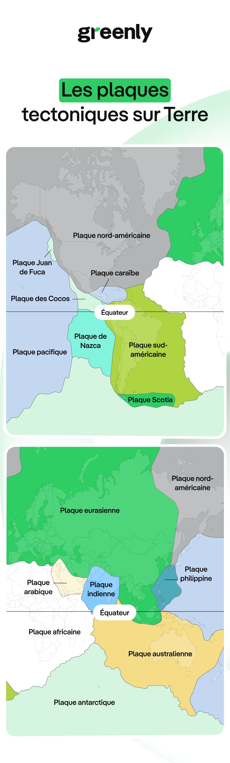 infographie représentant les plaques tectoniques sur terre