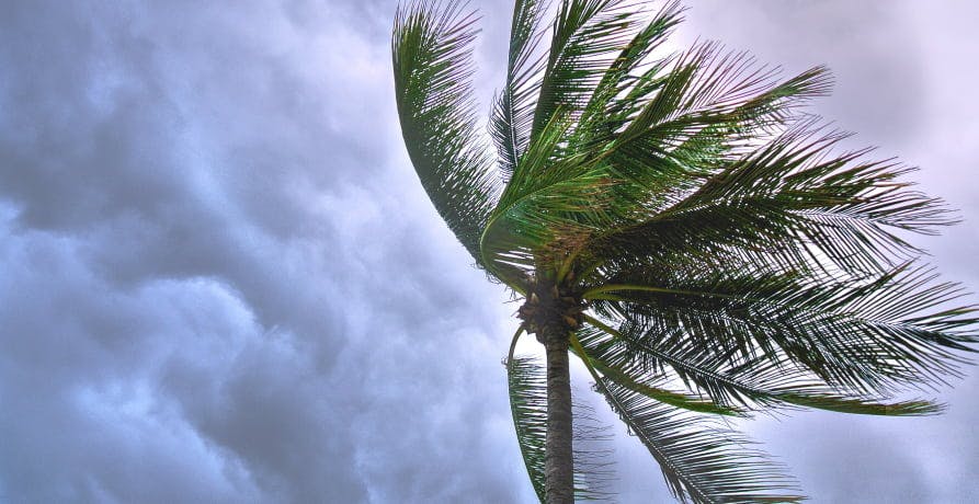 a storm