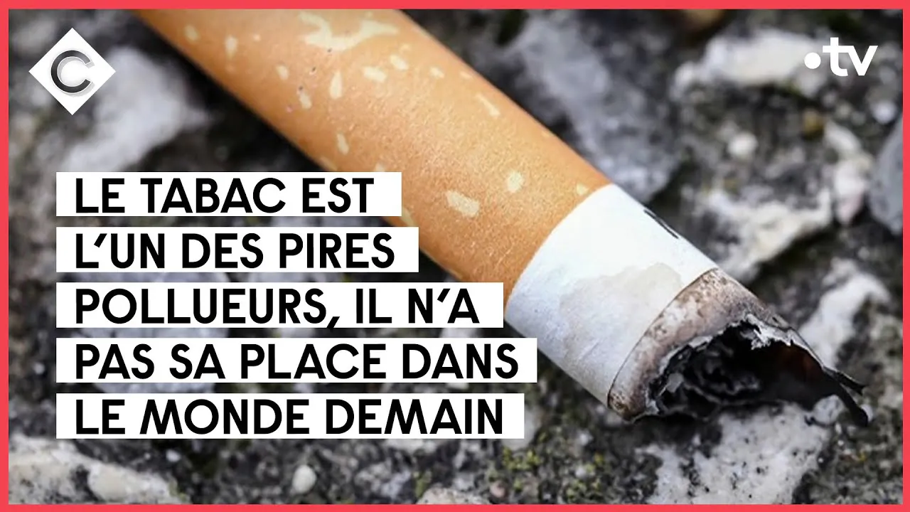 La catastrophe cologique du tabac - C  vous - 31/05/2022