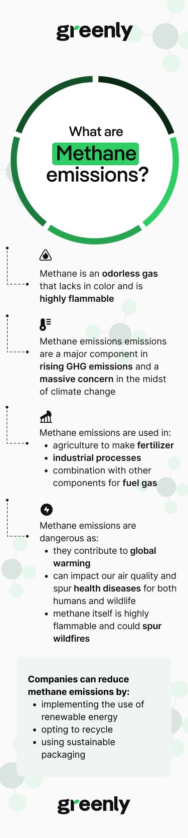 Methane Emissions Infographic Mobile