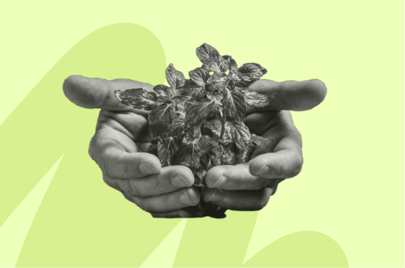 main tenant des plantes