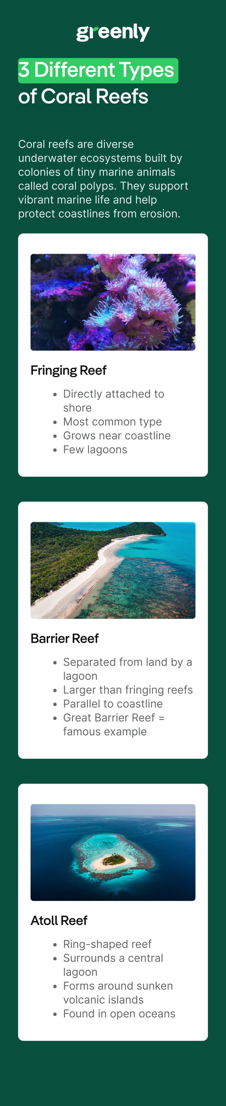 3 Different Types of Coral Reef infographic mobile