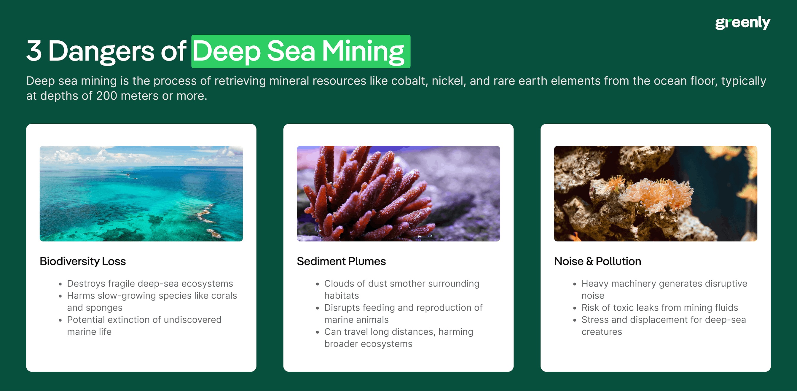 3 Reasons Why Deep Sea Mining Is Bad infographic