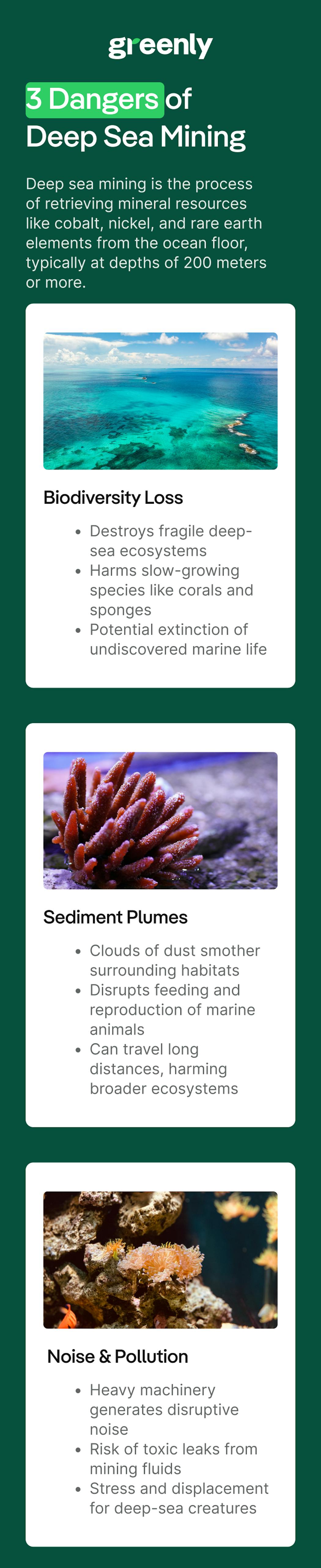 3 Reasons Why Deep Sea Mining Is Bad infographic mobile