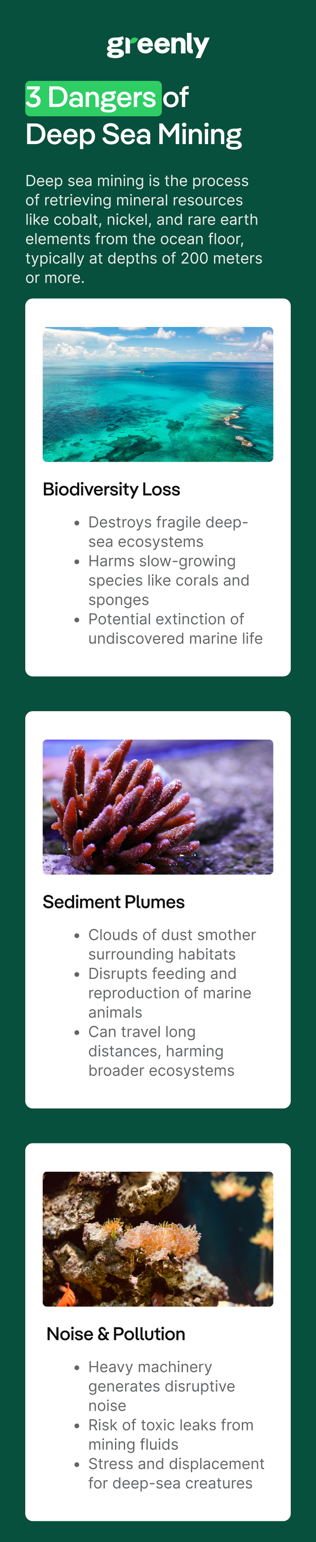 3 Reasons Why Deep Sea Mining Is Bad infographic mobile