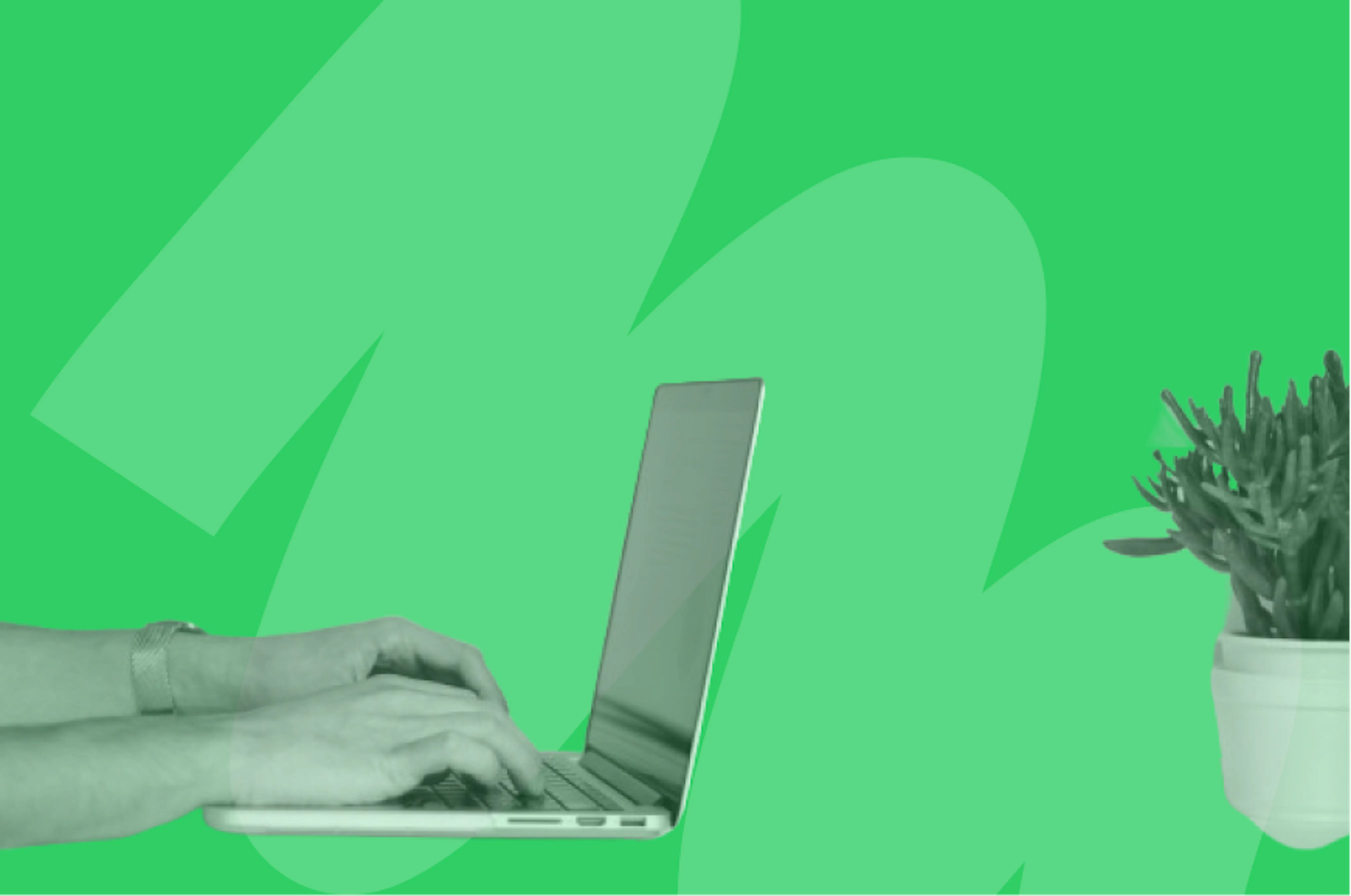 laptop next to potted plant