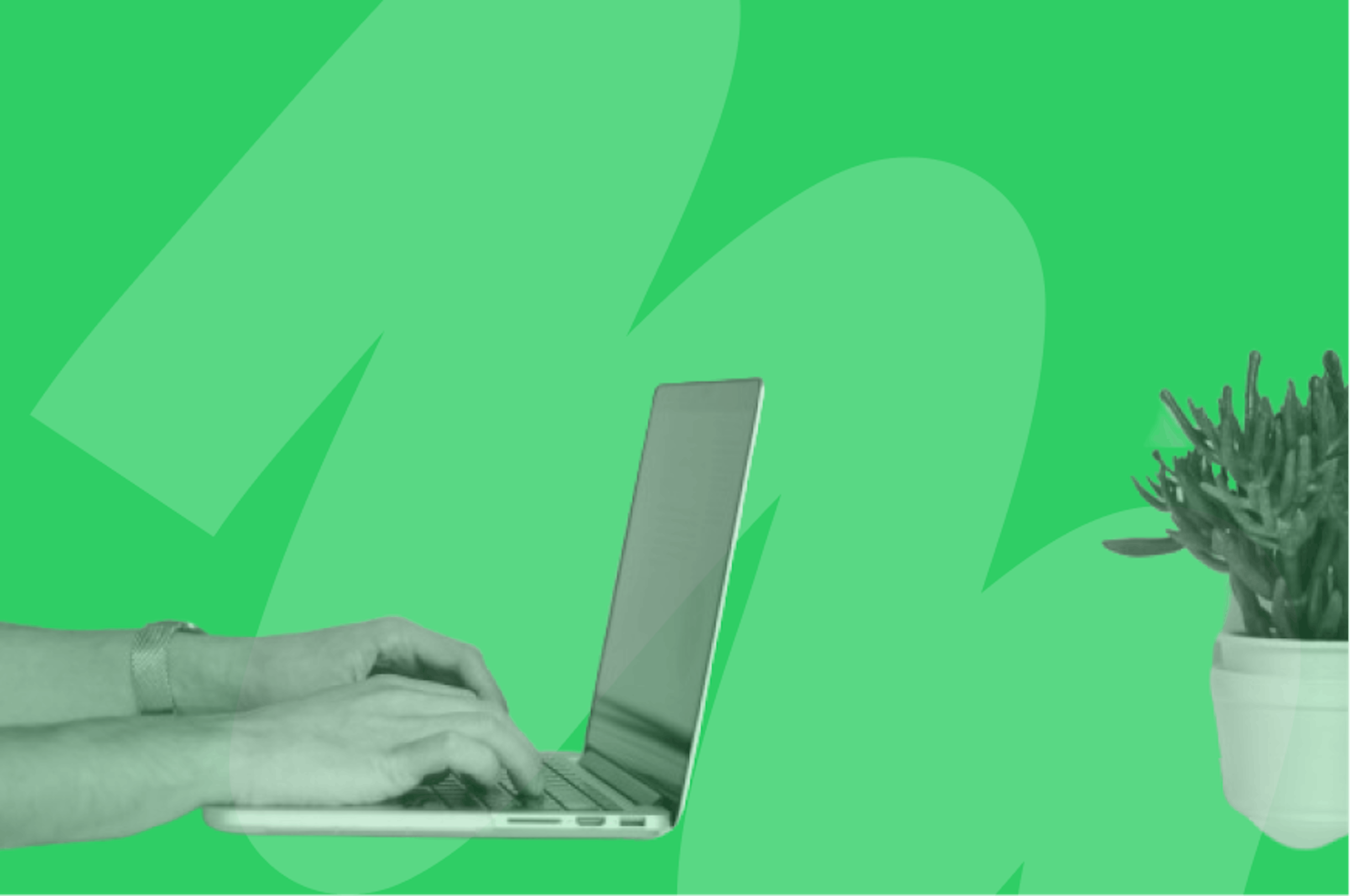 laptop next to potted plant