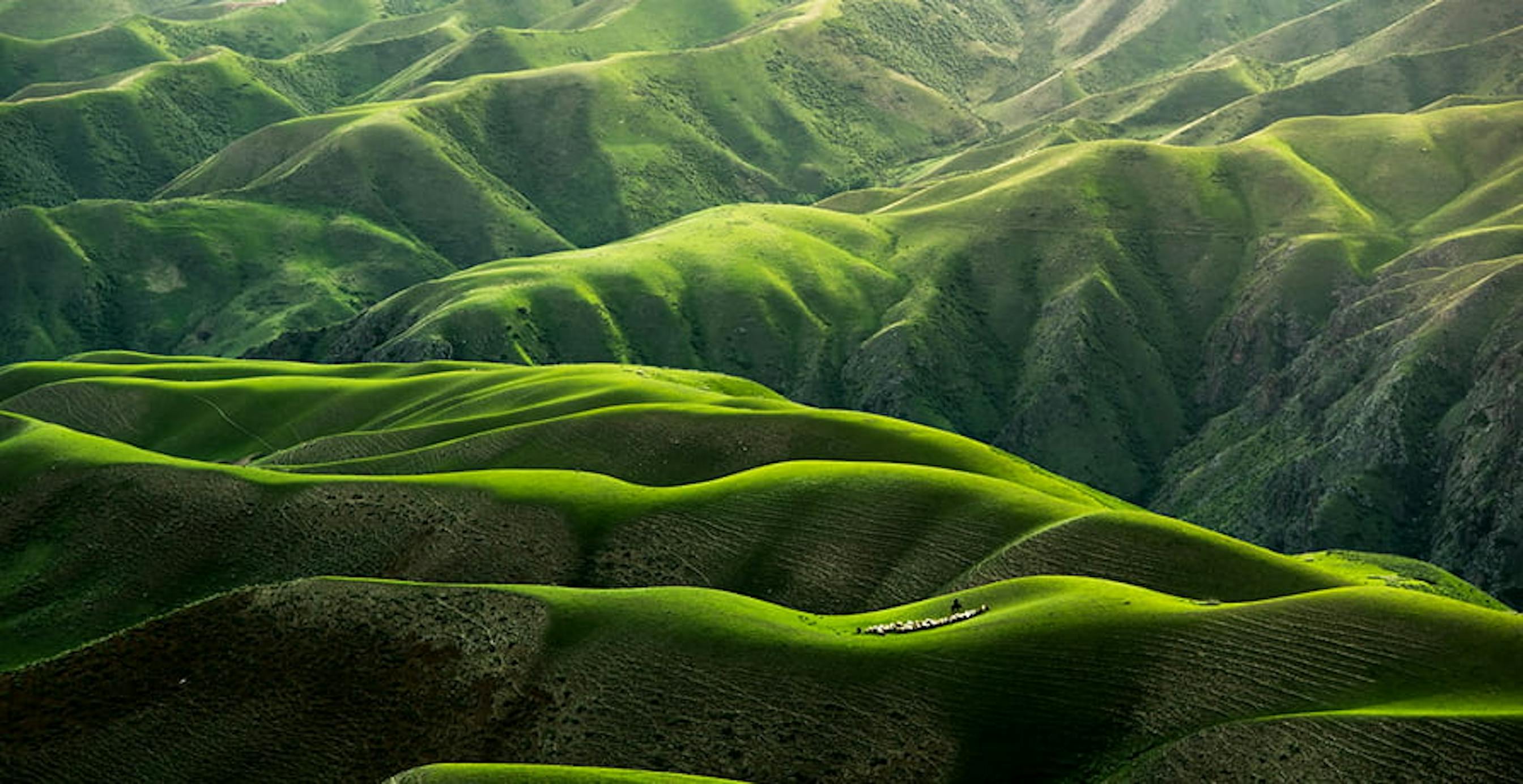 un paysage vert