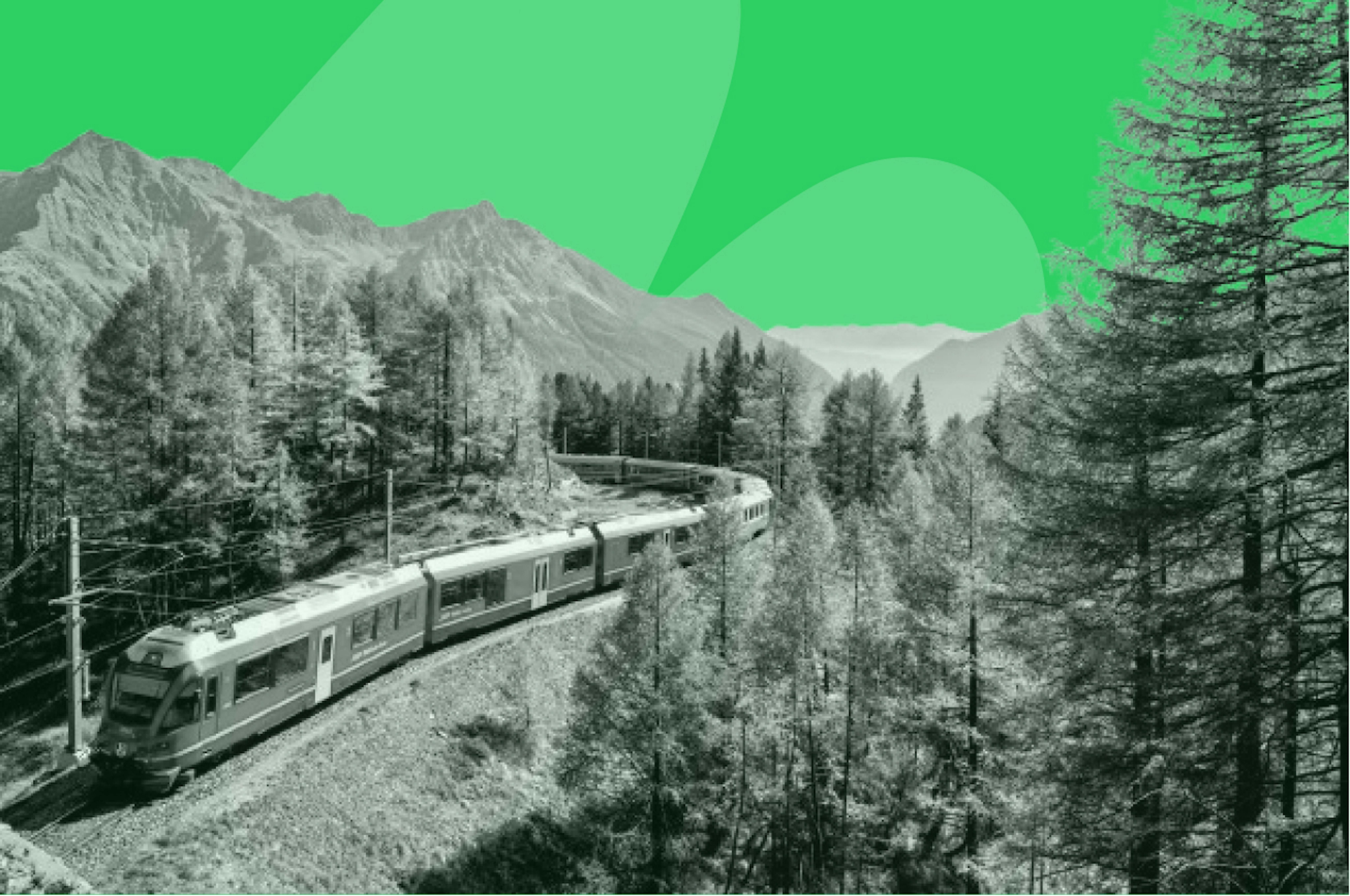 un train en pleine nature