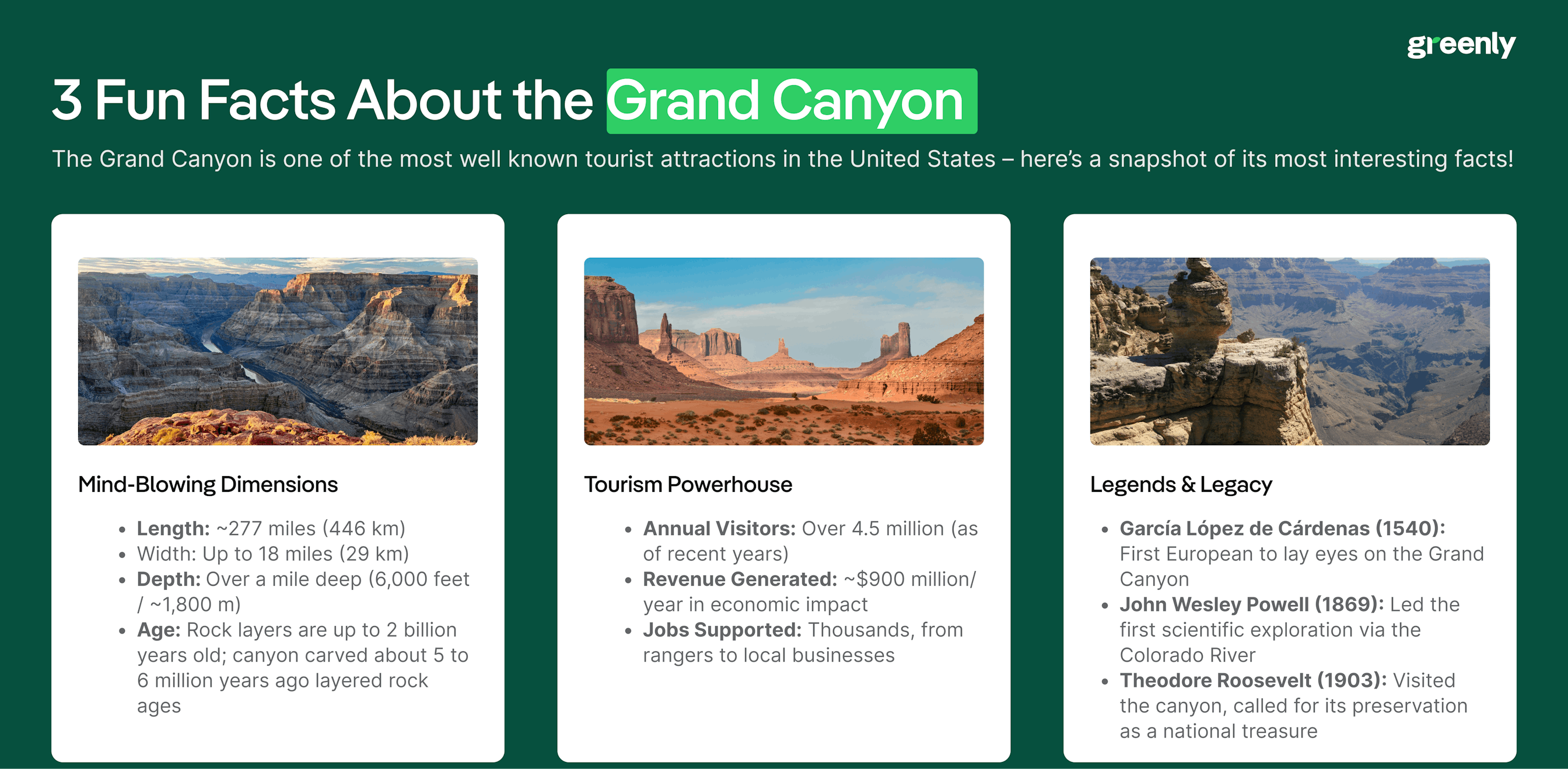 grand canyon infographic