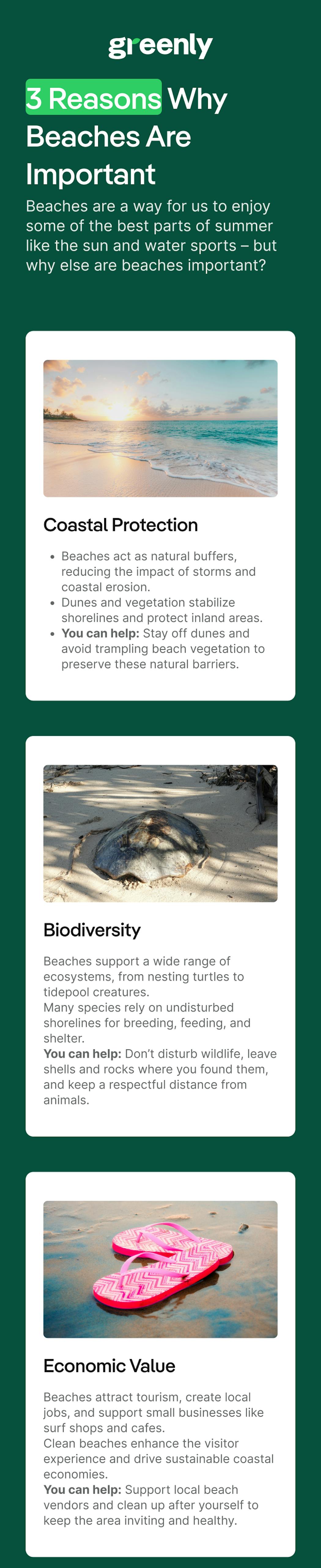3 Reasons Why Beaches Are Important