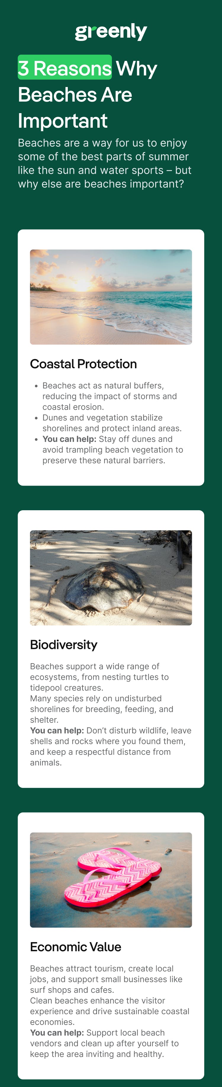 3 Reasons Why Beaches Are Important