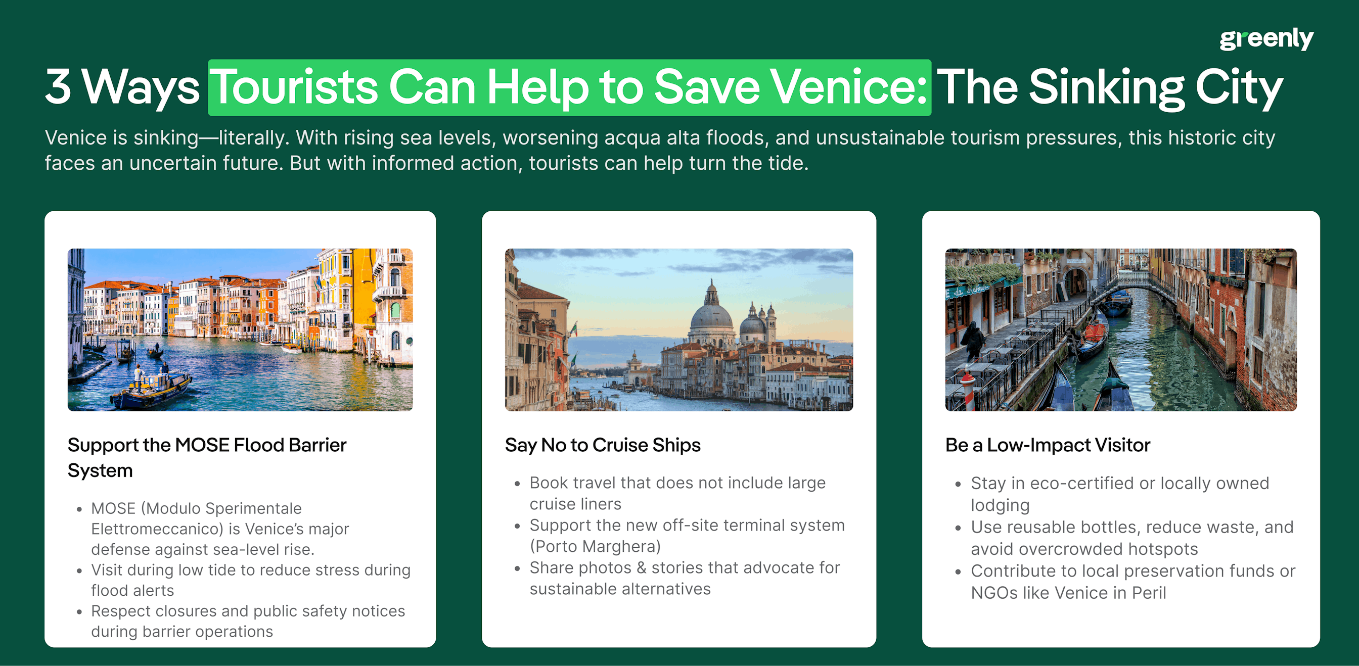 tourists save venice infographic
