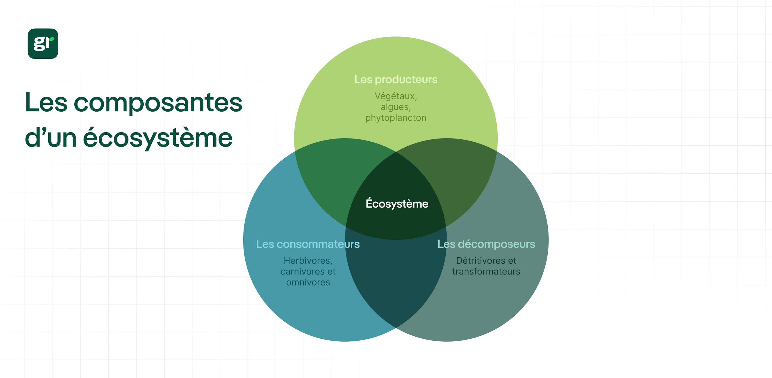 infographie présentant les décomposeurs, les consommateurs et les producteurs