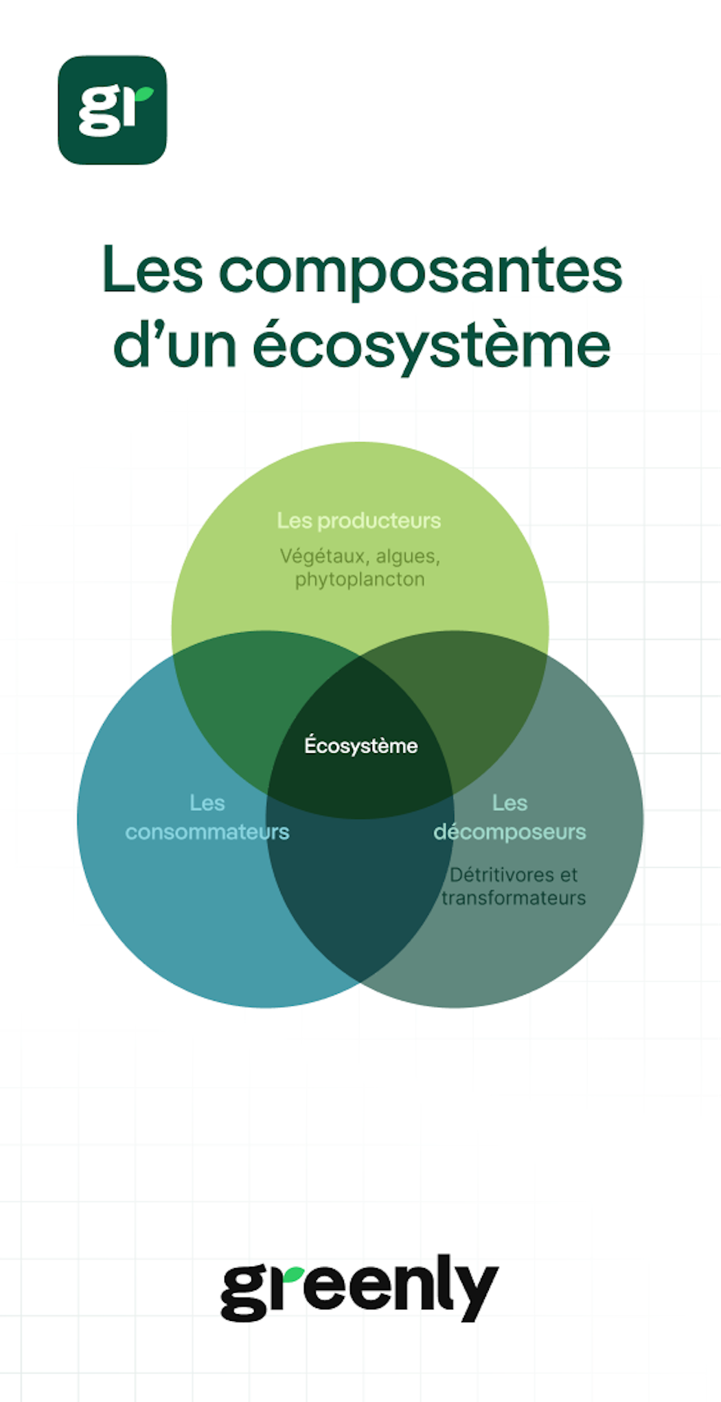 infographie présentant les décomposeurs, les consommateurs et les producteurs