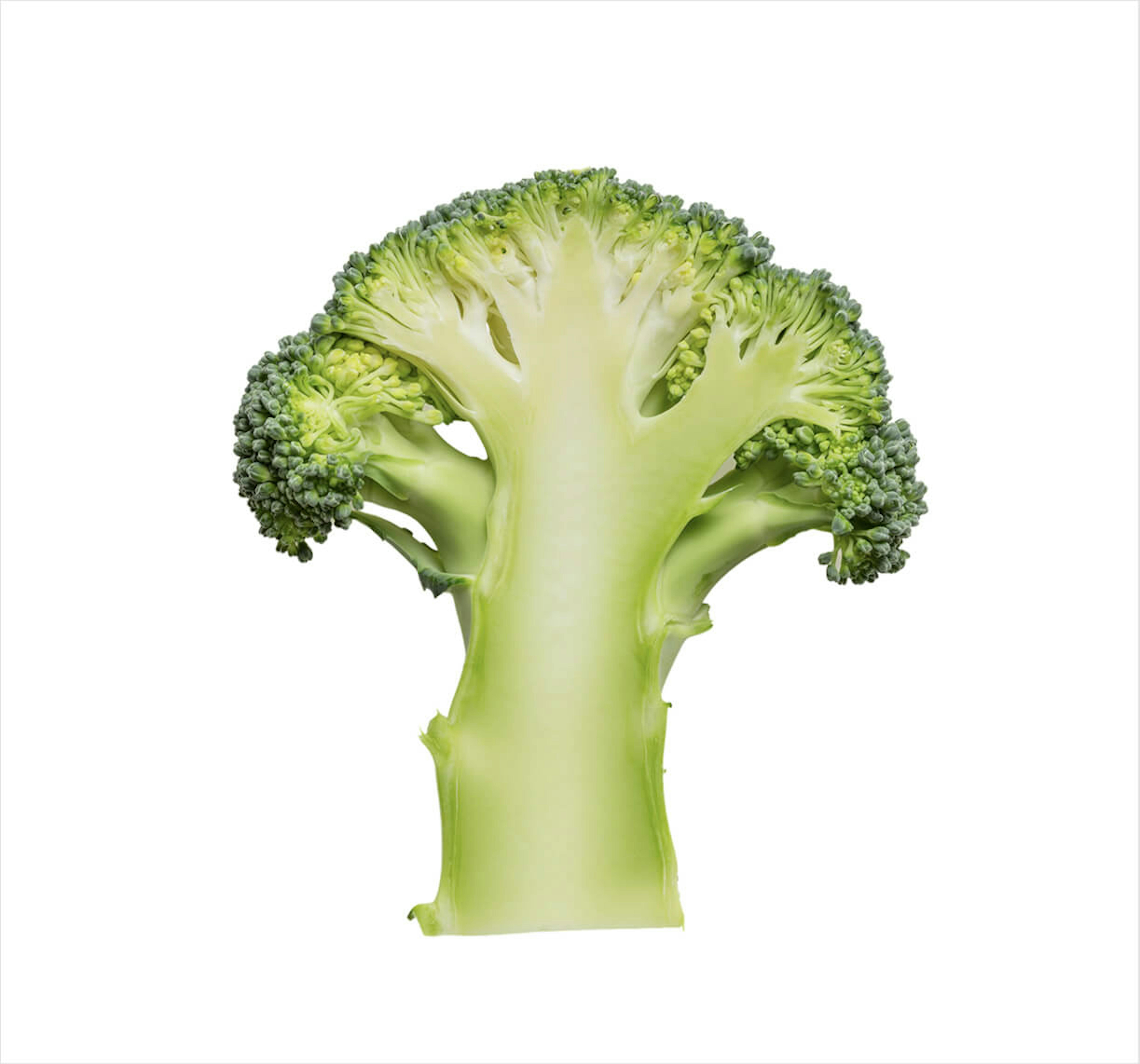 AL87iWGNHVfTOzRP food farming x2
