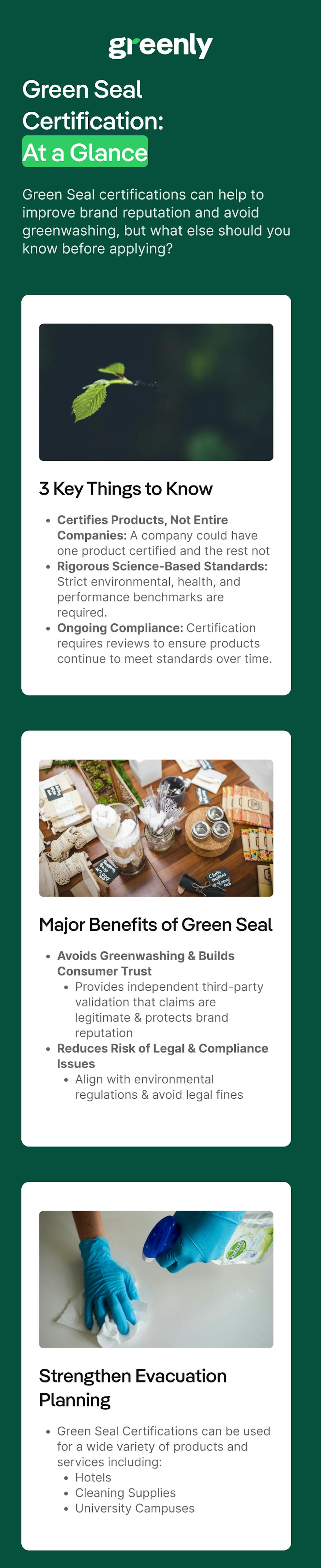 green seals infographic mobile