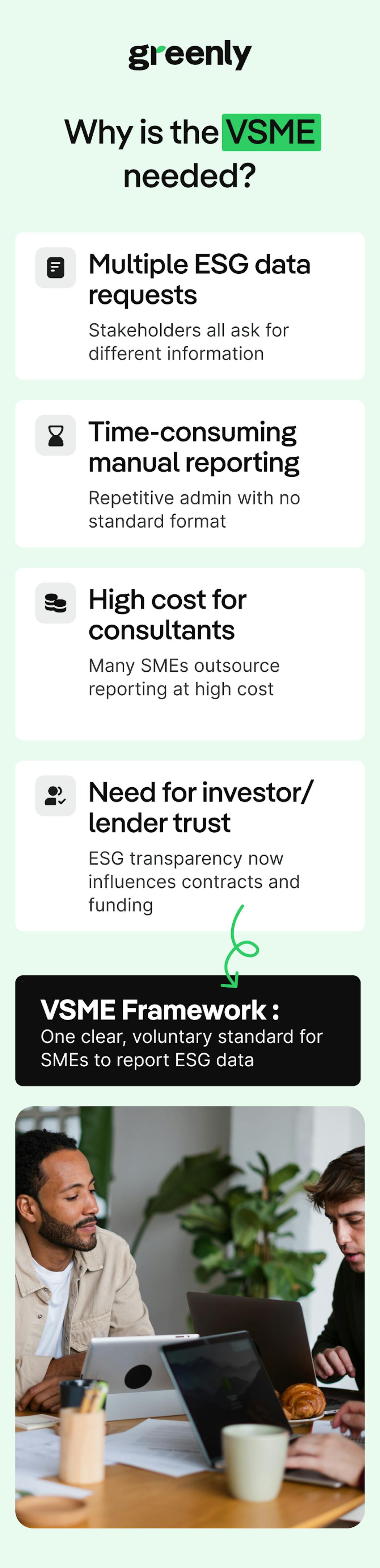 VSME infographic