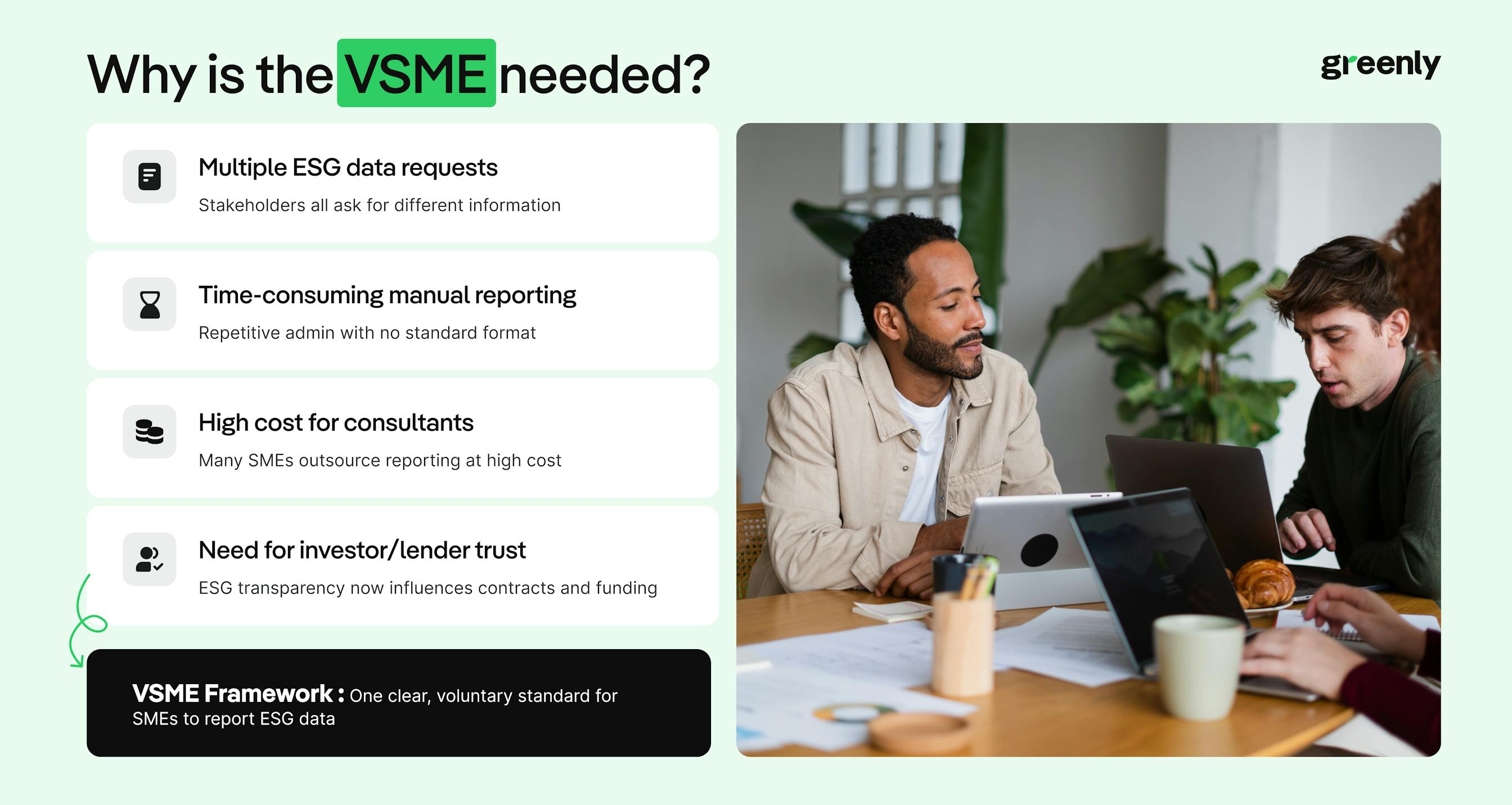 VSME infographic