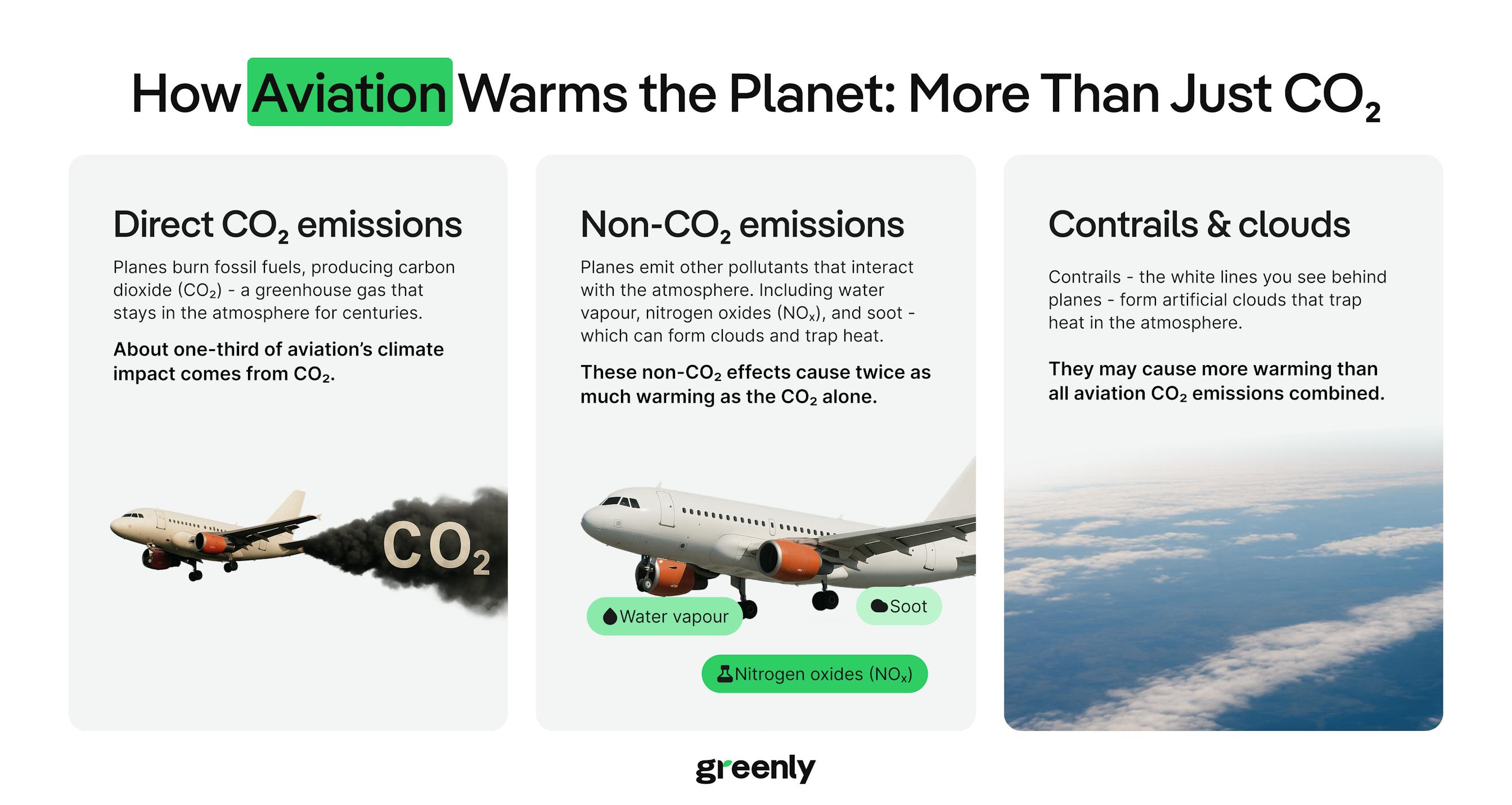 infographic on the impacts of aviation