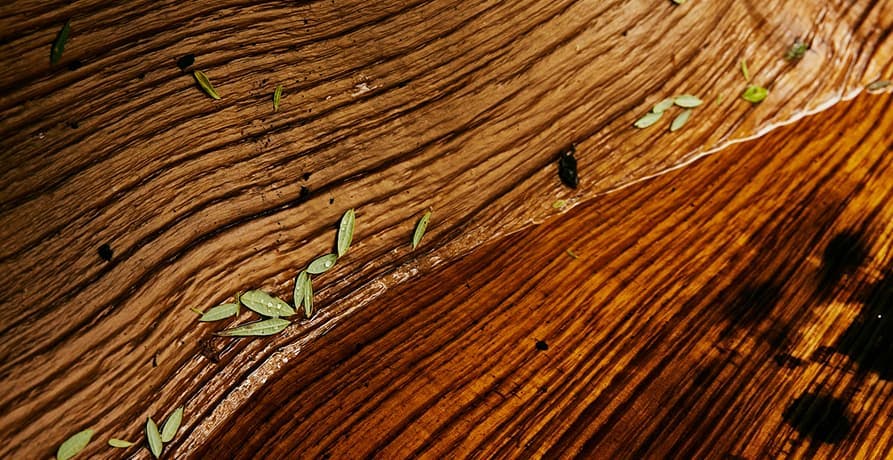 du bois et des feuilles