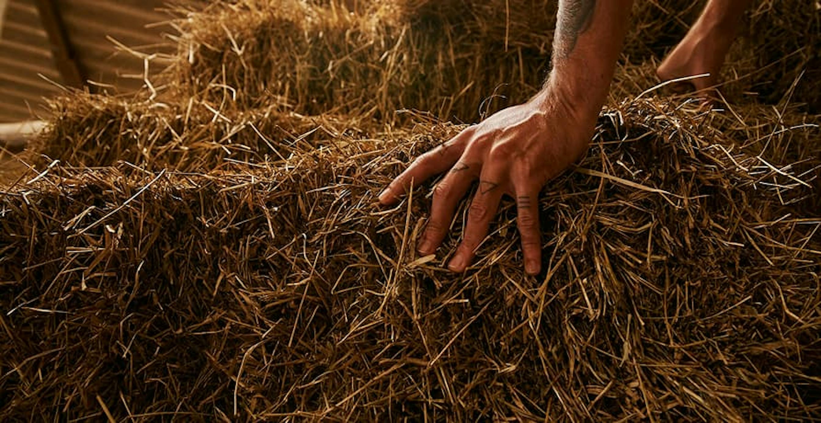 de la paille