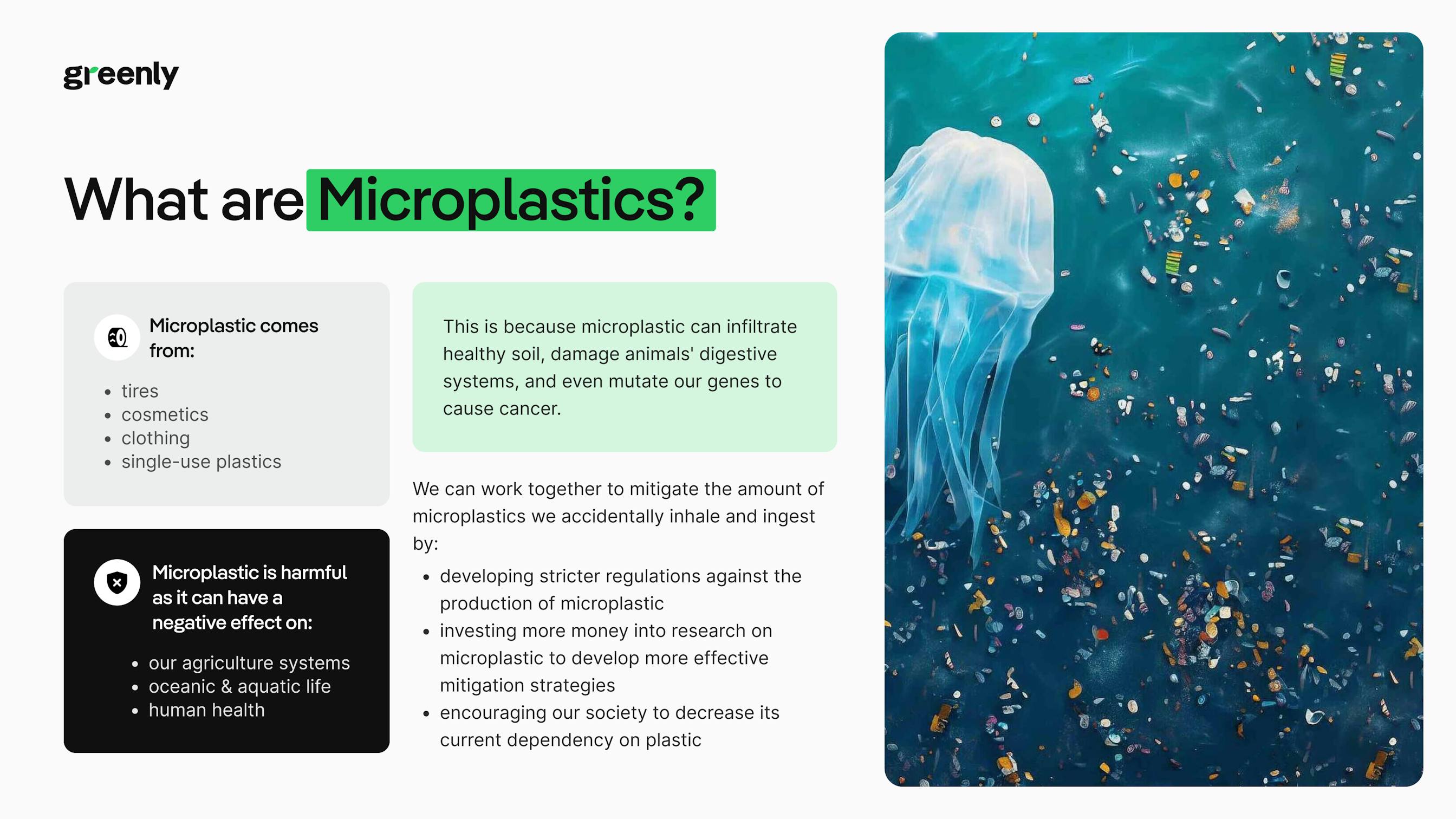 microplastic greenly infographic