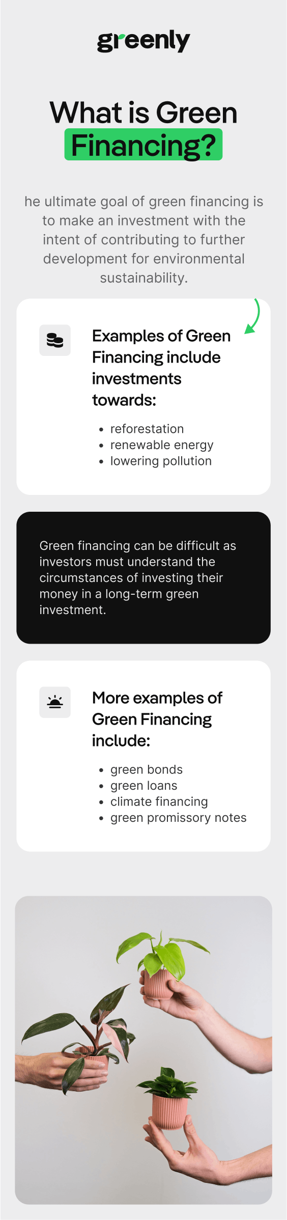 green financing greenly infographic mobile