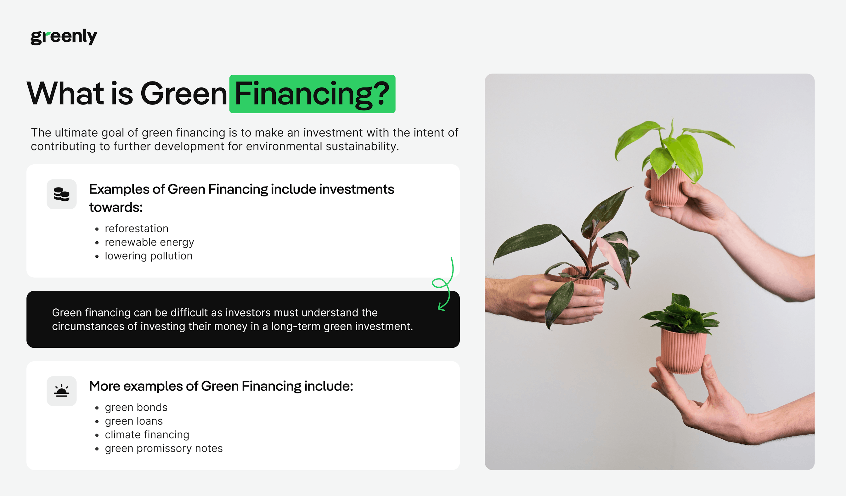 green financing greenly infographic