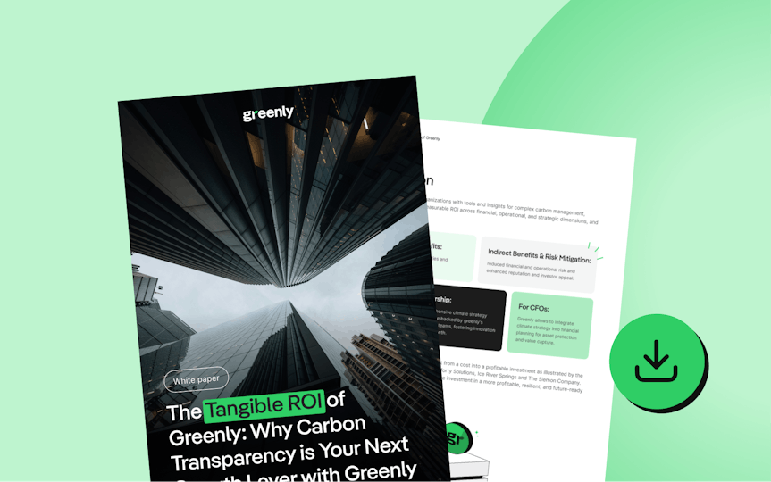 Preview of the ROI Guide