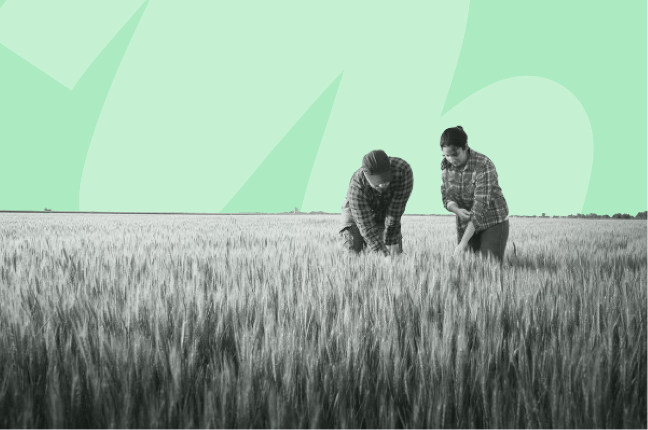 des agriculteurs dans un champ