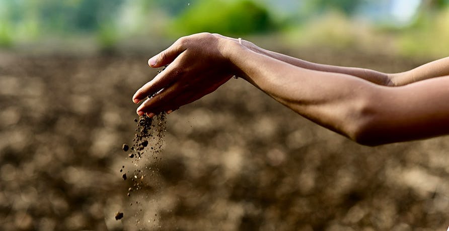 une personne tenant de la terre entre ses mains