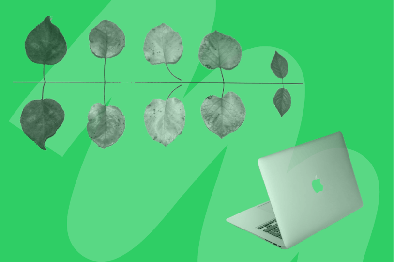 5 things lca software must have thumbnail