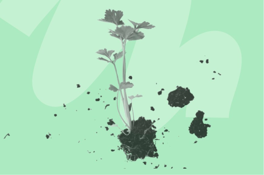 ethical sourcing thumbnail